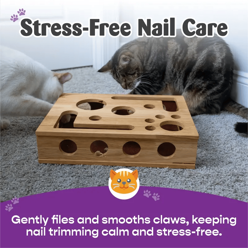 49%OFF 🎁😻✨Cat Scratch Puzzle Enrichment Box: Nail File Stress Free Alternative to Clippers and Grinders