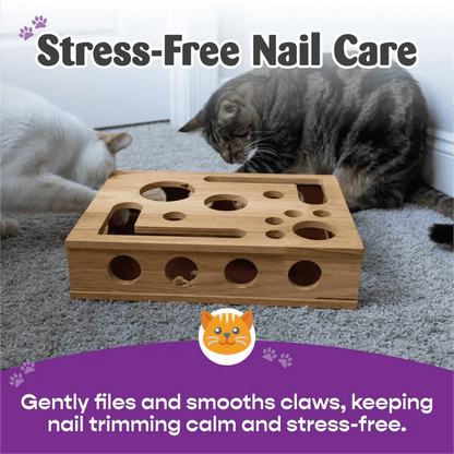 49%OFF 🎁😻✨Cat Scratch Puzzle Enrichment Box: Nail File Stress Free Alternative to Clippers and Grinders